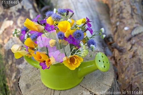 Image of bunch of wild flowers