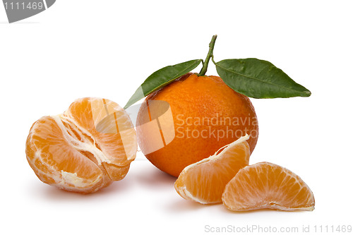 Image of ripe tangerines