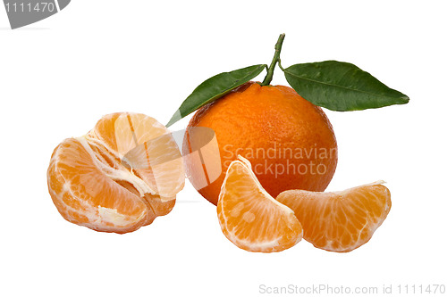 Image of ripe tangerines