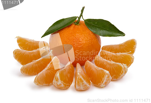 Image of ripe tangerines