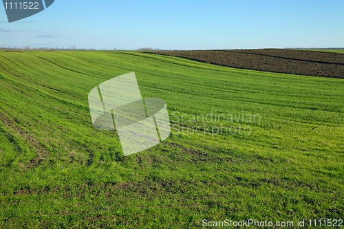 Image of Field