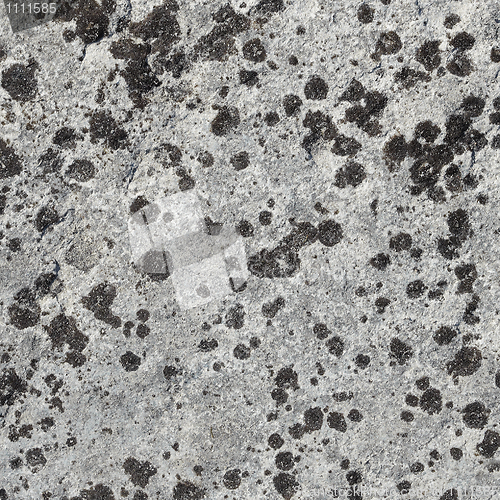 Image of Surface of rock covered with lichen