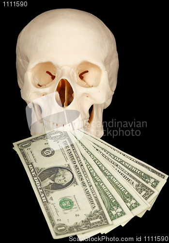 Image of Horrible skull with bundle of money in mouth