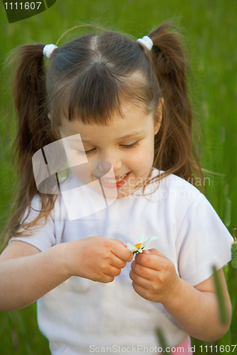 Image of Little girl tears off petals at chamomile