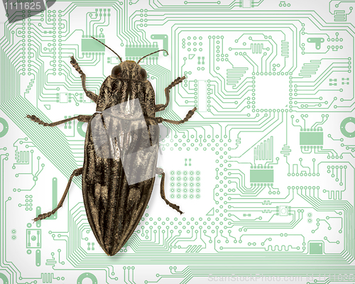 Image of Computer bug