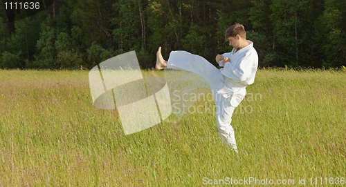 Image of Man in kimono fulfills blows by feet in field