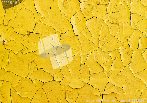 Image of Cracks on surface of oil paint