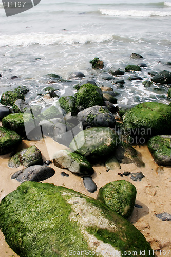 Image of Moss on rocks
