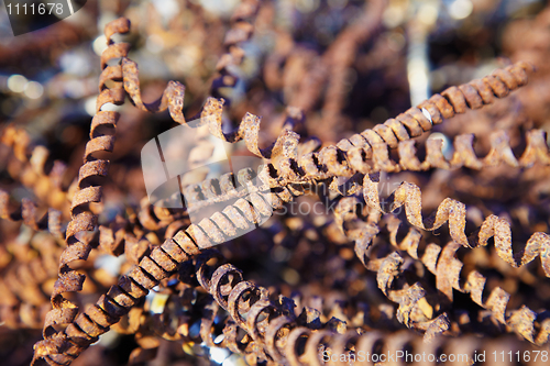 Image of Rusty metal shavings - industrial waste