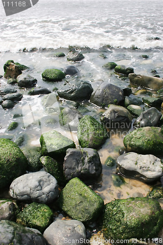 Image of Moss on rocks