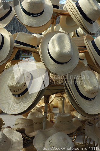 Image of Summer Hats