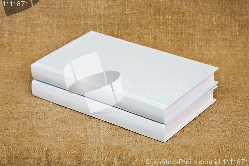 Image of Two books in a white cover on canvas