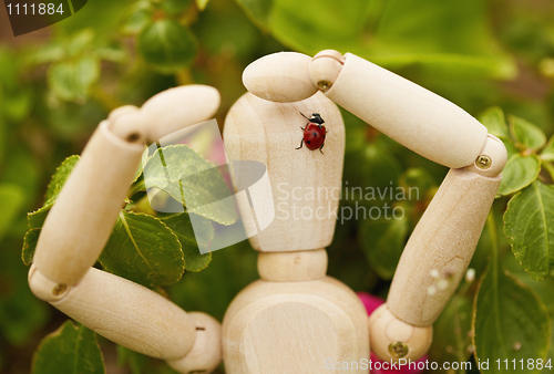 Image of Toy man with ladybug on head