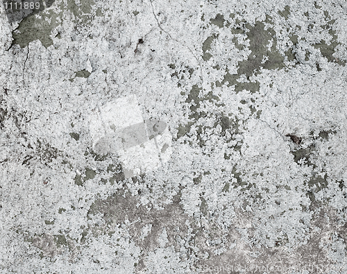 Image of Grunge paint on wall