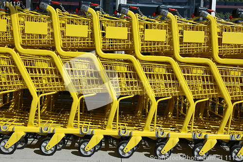 Image of Shopping Carts