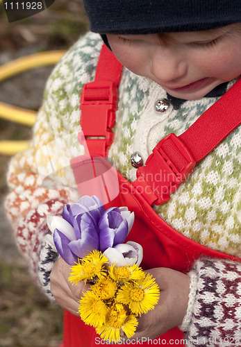 Image of Spring flowers