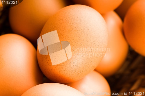 Image of Fresh brown cage free eggs