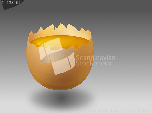 Image of Raw Egg