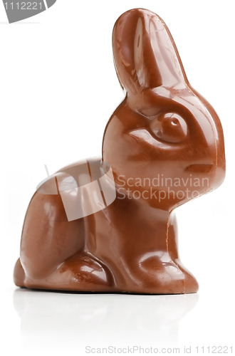 Image of Bunny