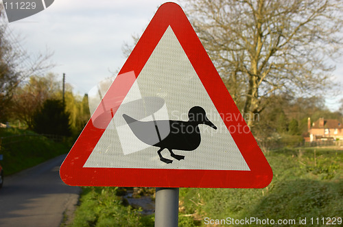 Image of Duck crossing sign