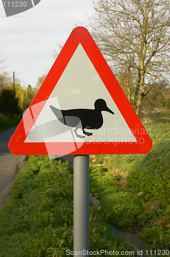 Image of Duck crossing sign