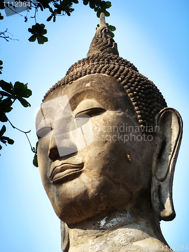 Image of Buddha portrait