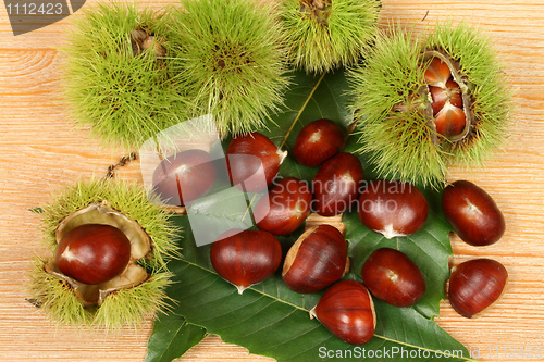 Image of Chestnuts.