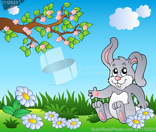 Image of Bunny on meadow with daisies