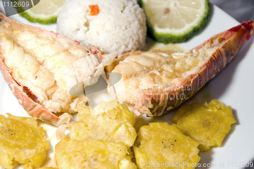 Image of lobster central american style with tostones rice