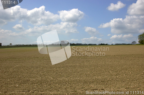 Image of Spring field before the crops