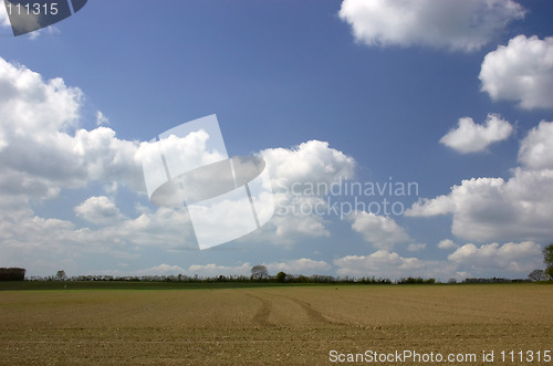 Image of Spring field before the crops