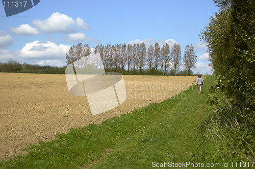 Image of A walk in the country