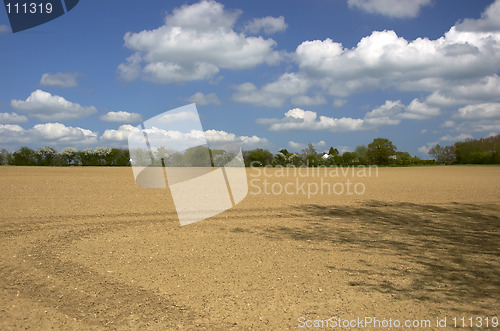 Image of Spring field