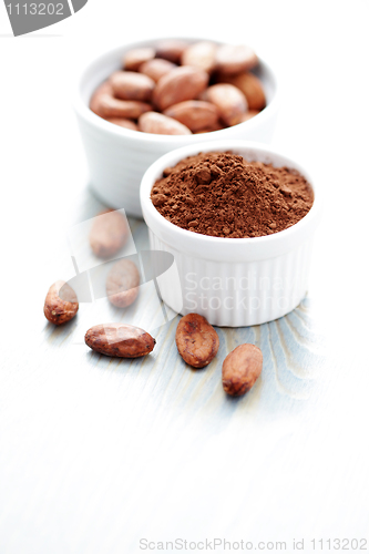 Image of cocoa