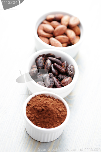 Image of cocoa