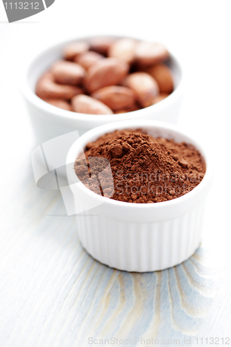 Image of cocoa