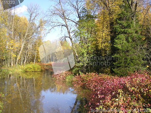 Image of autumn park