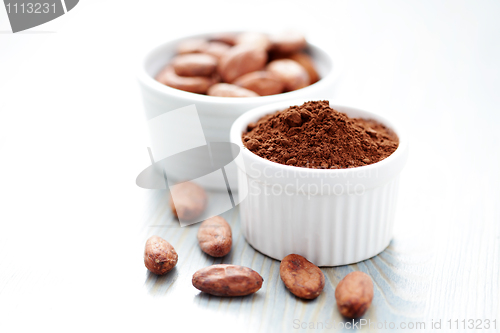 Image of cocoa