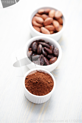 Image of cocoa