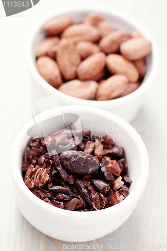 Image of cocoa
