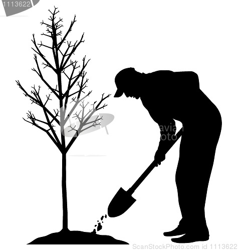 Image of Planting a tree