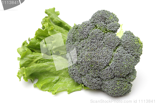 Image of Broccoli and lettuce