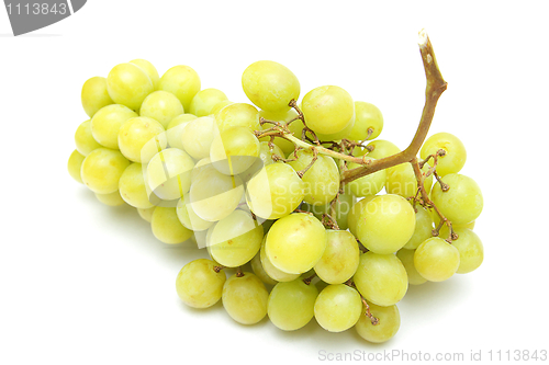 Image of Grapes