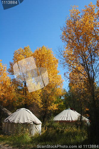 Image of Tents in the autumn woods