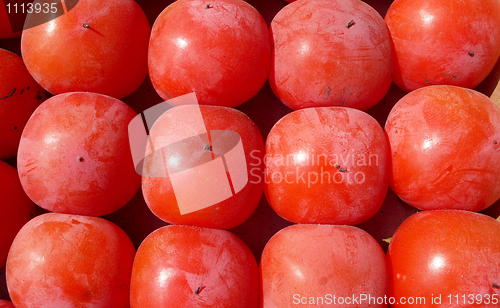 Image of Red Persimmon fruits in autumn
