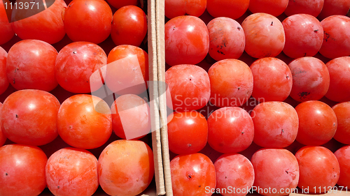 Image of Red Persimmon fruits in autumn