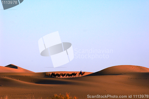 Image of Desert at sunset