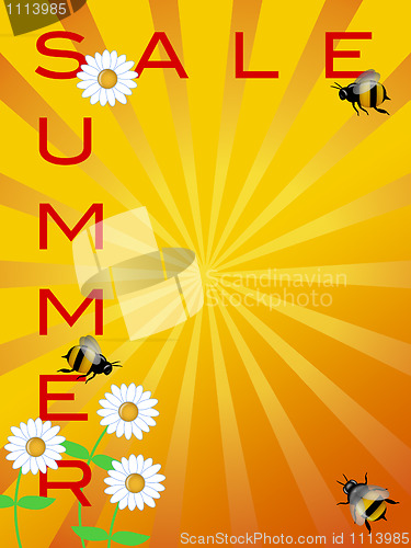 Image of Summer Sale Sign with Daisies Flowers and Bumble Bees