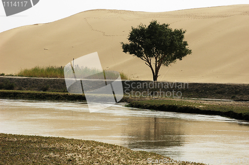 Image of Landscape of river and sandhills with a single tree