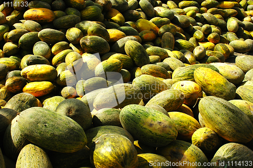 Image of Sweet melon